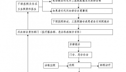 转诊流程图